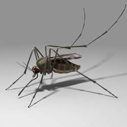 Как защитить ребенка от комаров?
